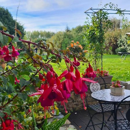 Lesroses1680 Bed & Breakfast Blainville-sur-Mer Dış mekan fotoğraf