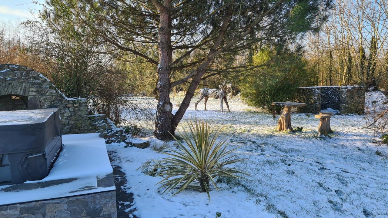 Lesroses1680 Bed & Breakfast Blainville-sur-Mer Dış mekan fotoğraf
